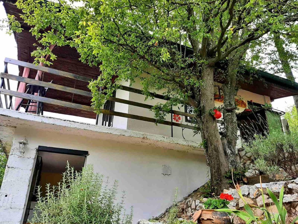 Vila Eva Meduvrsje Exterior foto